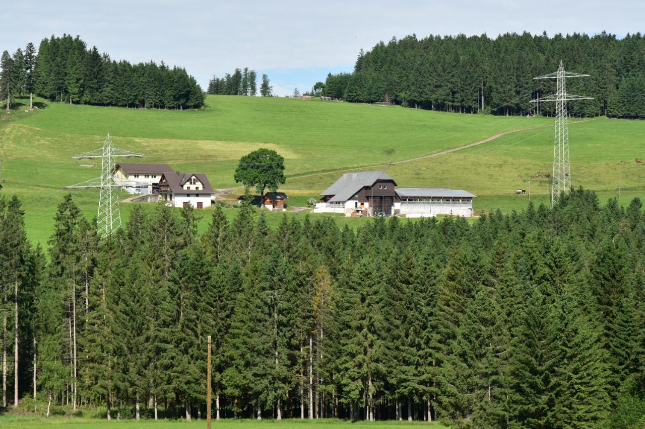 Duerrenbartleshof Apartamento Breitnau Exterior foto