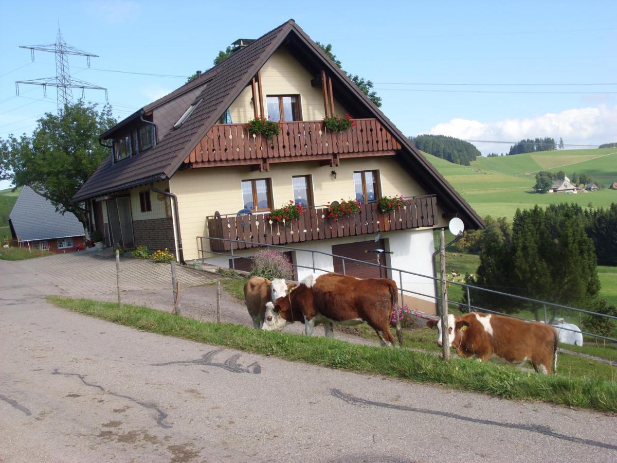 Duerrenbartleshof Apartamento Breitnau Exterior foto